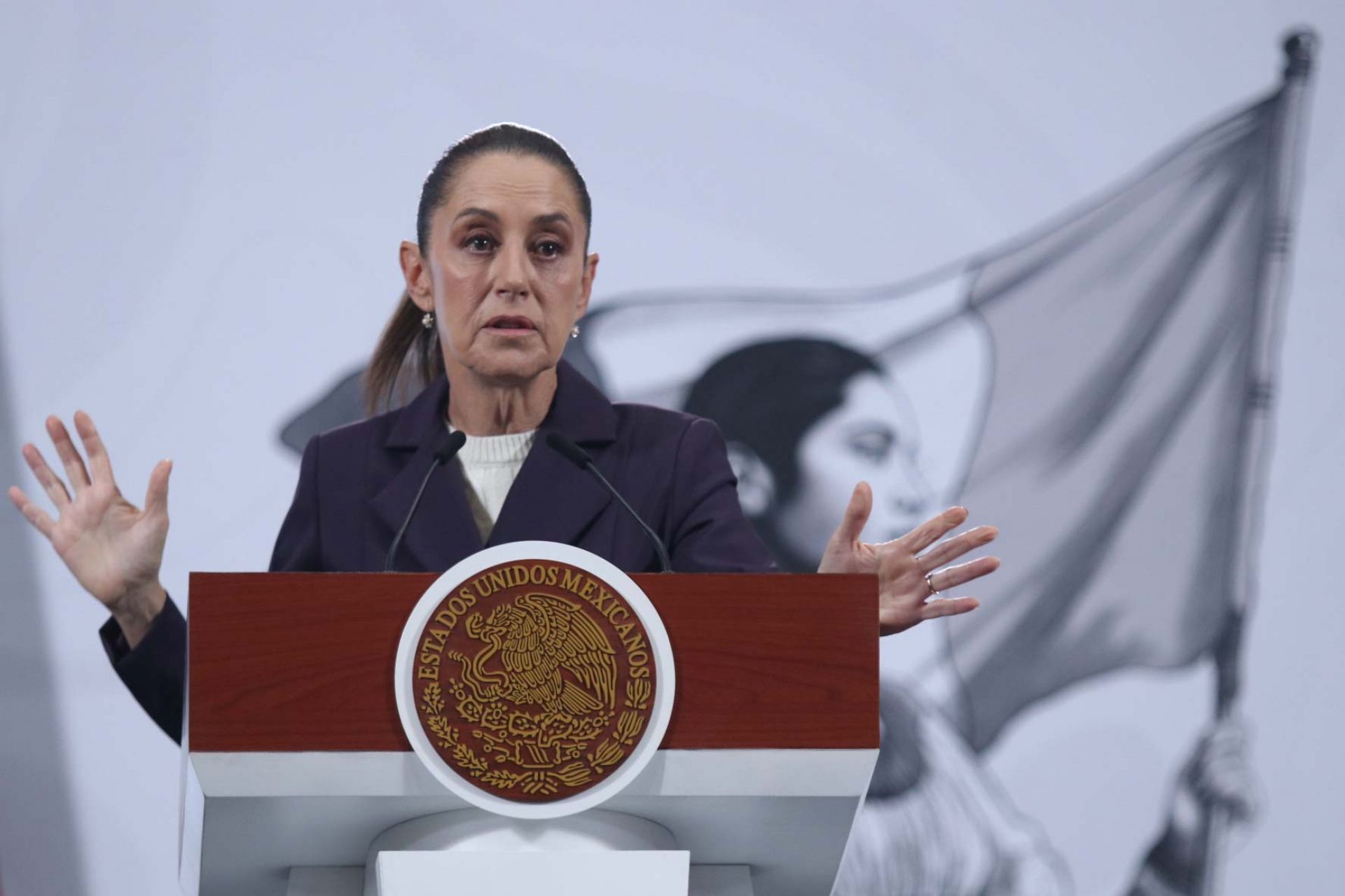 Sheinbaum denunció a su acosador en el ZócaloSheinbaum denunció a su acosador en el Zócalo